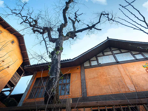 上饒靈山